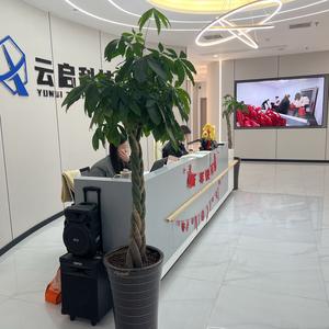 倾城云启科技 以专业广告代运营驱动品牌增长